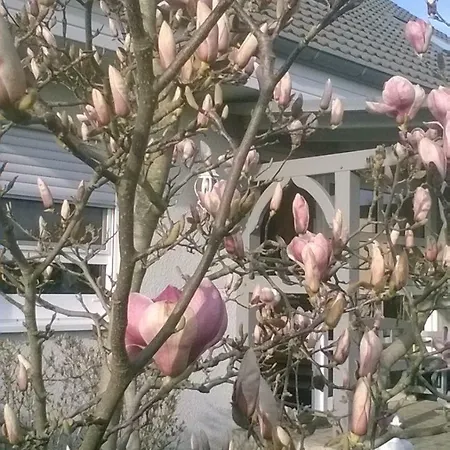 Ferienwohnung Barleben Lejlighed *